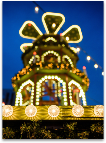 Theme Park Energy Optimization